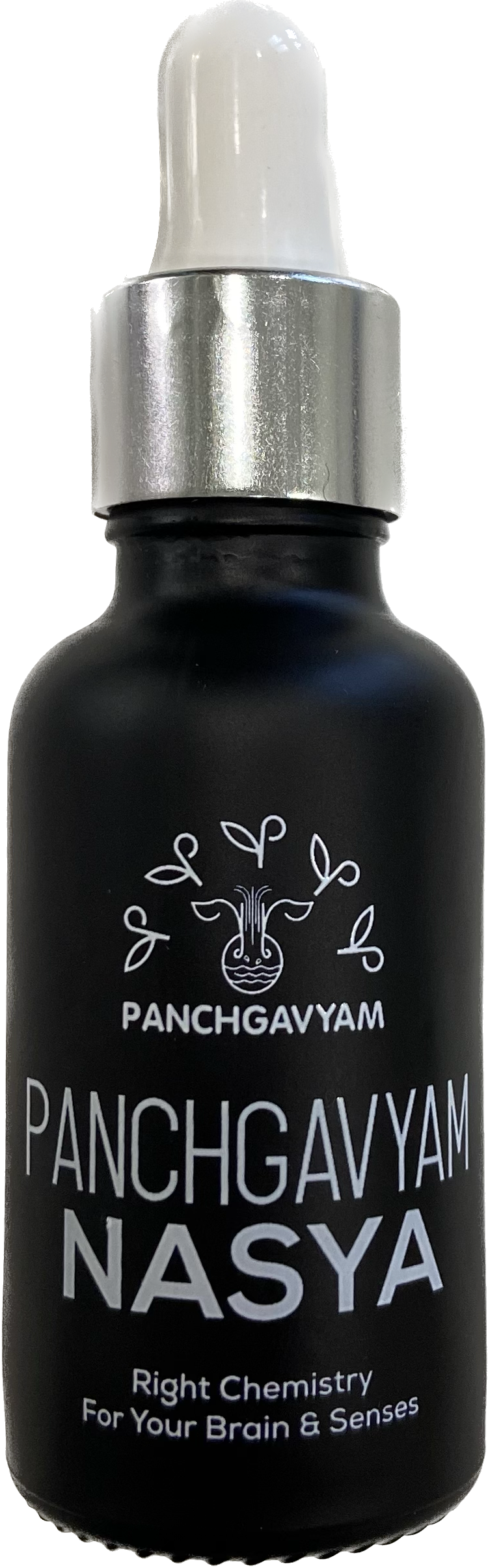 Panchgavya Nasya | Medicine for Migraine,Sinus ,Good sleep | Brain power supplement