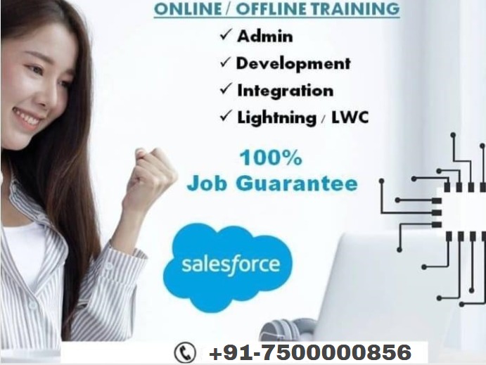 salesforce certification salesforce online training salesforce training Institute