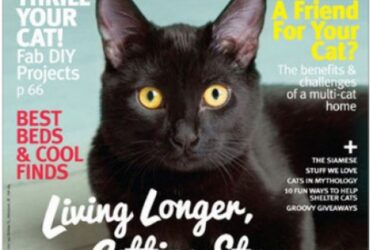 Modern Cat Magazine Subscription