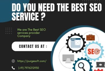 SEO Services in Jaipur