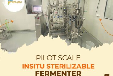 In-Situ Sterilizable Fermenter & Bioreactor for Pilot-Scale Production