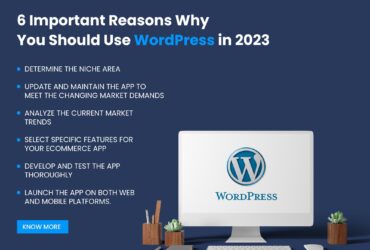 Are you looking to Hire Dedicated WordPress Developer in USA?