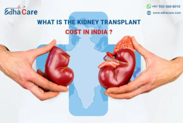 Affordable Kidney Transplant Cost in India: Quality Care Within Reach
