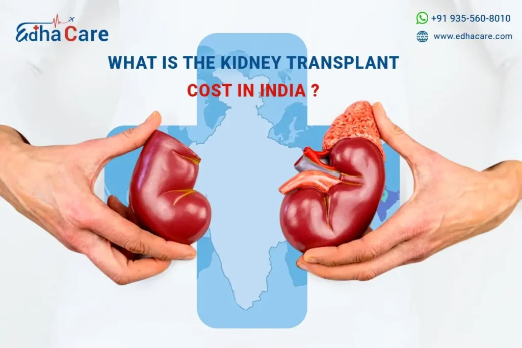 Affordable Kidney Transplant Cost in India: Quality Care Within Reach