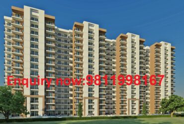 Luxury 2 & 3 BHK apartments in sector79B, Gurgaon @ Contact us 9811998167