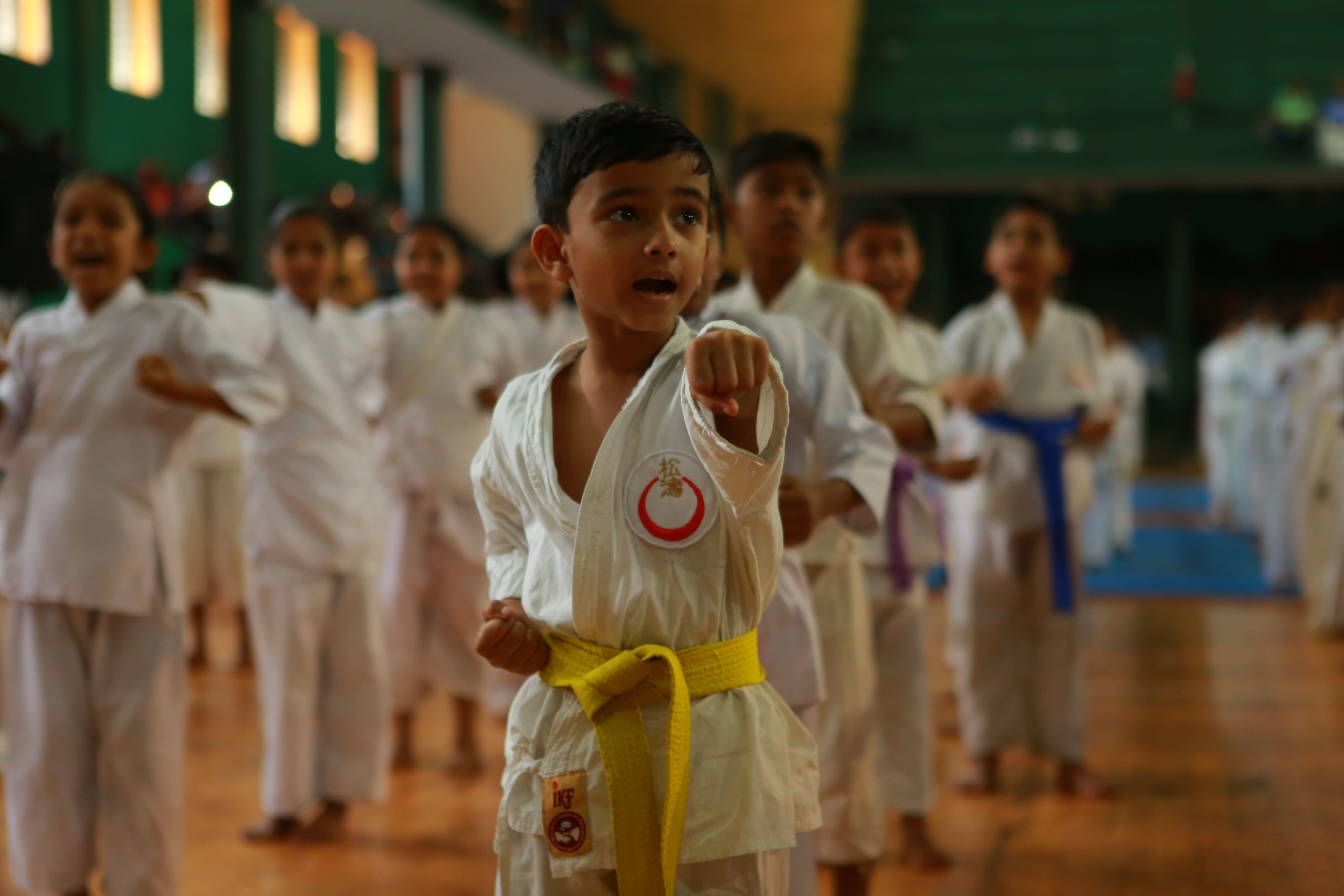 Nochikan Karate International is a premier academy that offers world-class Karate lessons.