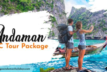 Explore Andaman's Beauty with Andaman LTC Tour Packages!