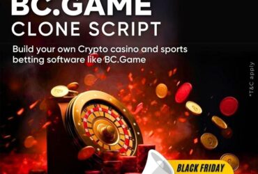 Start Your Crypto Casino Journe at BC. Game Clone Script Explained