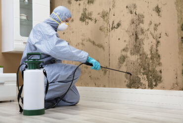 Reliable Mold Inspection Services in Birmingham