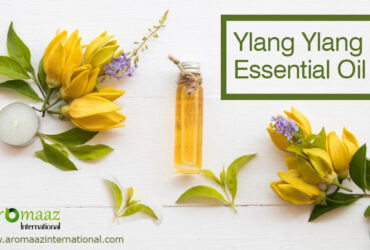 What Makes Ylang Ylang Essential Oil So Unique?