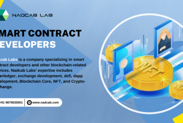 Unleashing the Power of Smart Contract Developers in the Blockchain Era