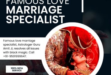 Best Love Marriage Specialist Astrologer Guru Amit Ji – Expert Solutions
