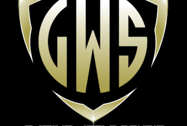GWS gaming world studio