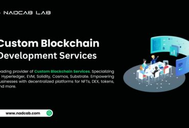 Custom Blockchain Development Service
