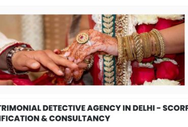 MATRIMONIAL DETECTIVE AGENCY IN DELHI – SCORPION VERIFICATION & CONSULTANCY