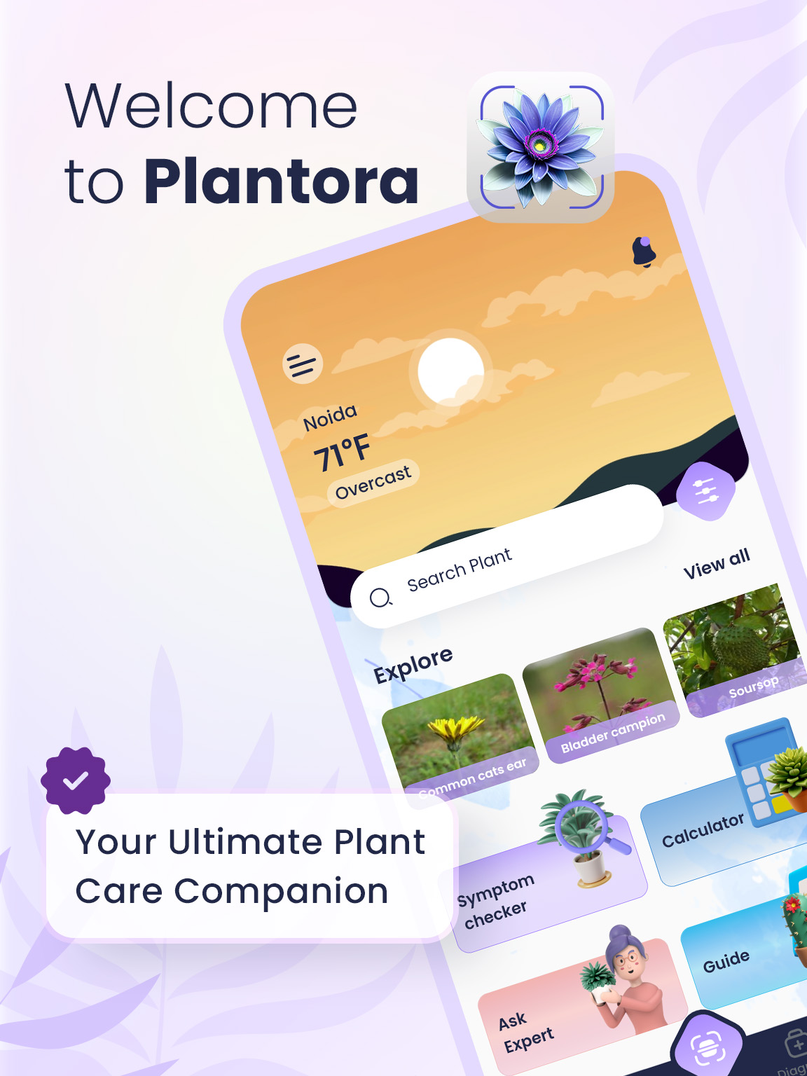 The Best Free Plant Care and Identifier App