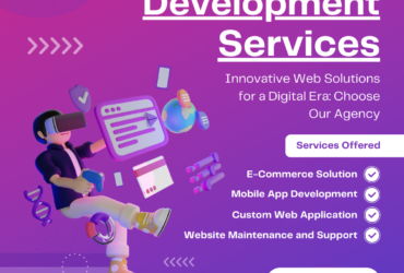 Professional Web Development Services In Nagafgarh