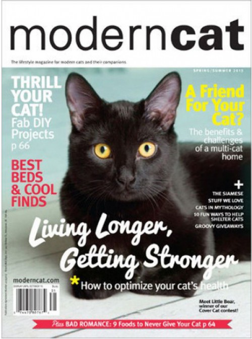 Modern Cat Magazine Subscription