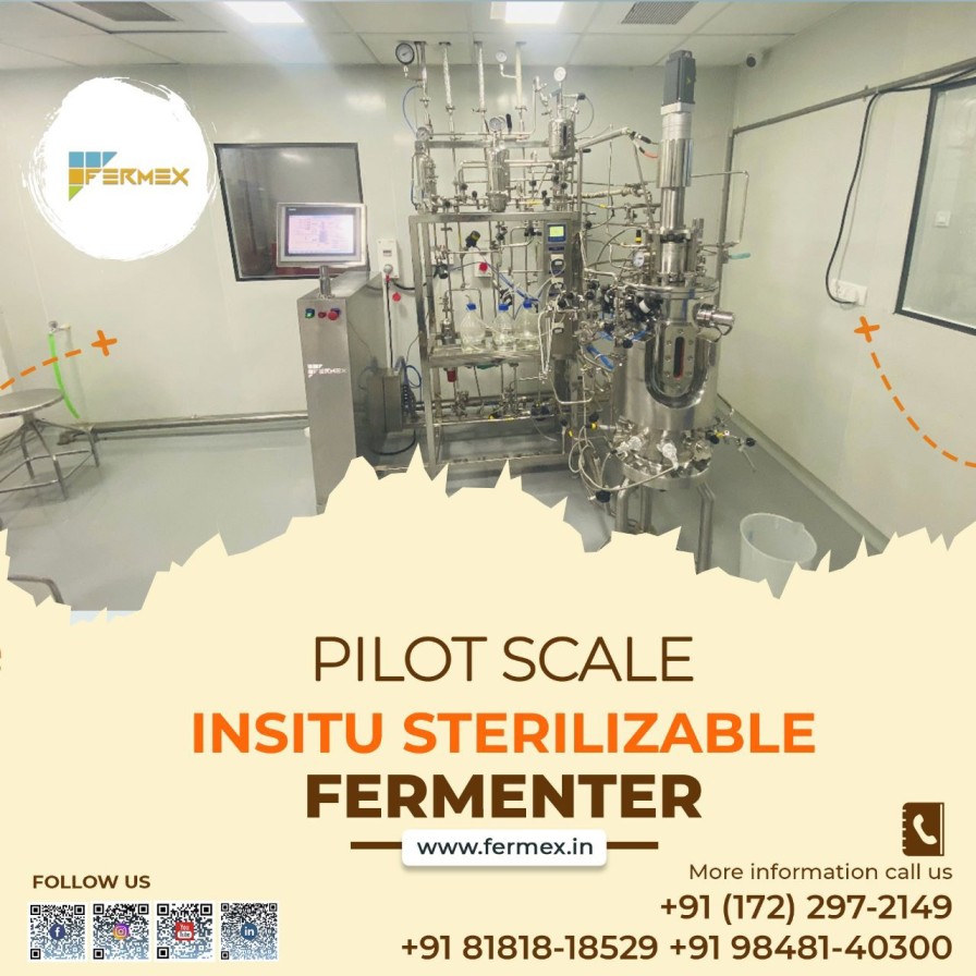 In-Situ Sterilizable Fermenter & Bioreactor for Pilot-Scale Production