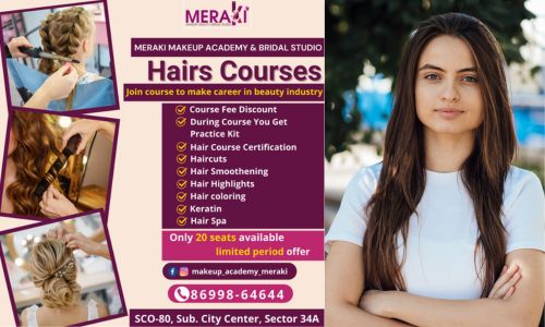 Hair Academy in Chandigarh | Meraki Makeup Academy