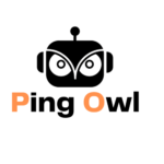 Pingowl