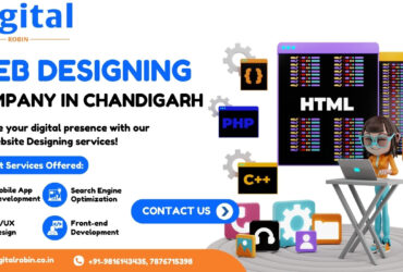 web designing company in Zirakpur