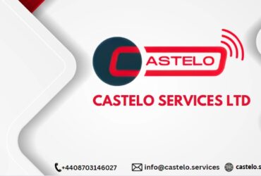 Revolutionize Your Data Management with Castelo Services!