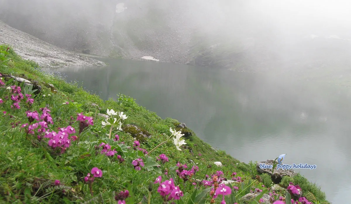 Valley of Flowers Package By Helicopter – Blue Poppy Holidays