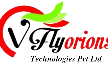 BPO Voice and Non-Voice Service Provider | Vflyorions