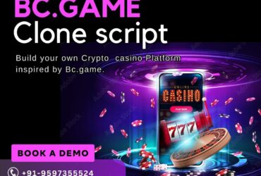 Elevate Your Casino Brand: Cost-Effective BC.Game Clone Script for Fast Launch!