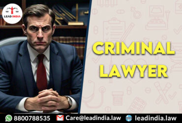 Criminal Lawyer