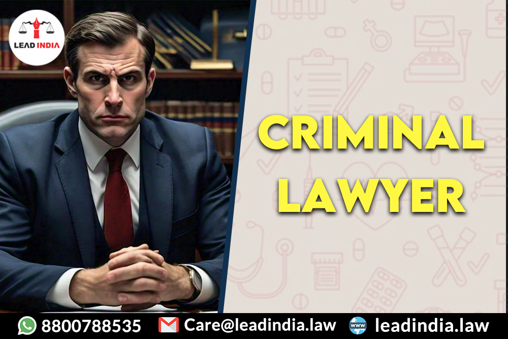 Criminal Lawyer