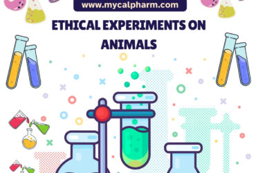 Ethical Experiments On Animals