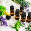 Source the Best Essential Oils Globally