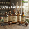 Premium Natural Essential Oils Wholesale