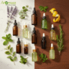 Buy Pure Essential Oils in Bulk | Top-Rated Global Brand