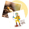 Sorna Valli Pest Control